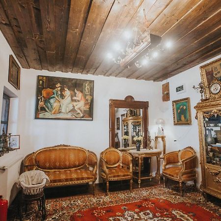 Gospodaria Lui Nea Ion Вама-Бузэулуй Экстерьер фото