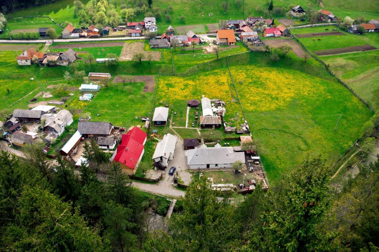 Gospodaria Lui Nea Ion Вама-Бузэулуй Экстерьер фото